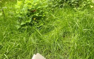 2 camere parter - acces gradina Floreasca - Garibaldi - Verdi - Poză 12