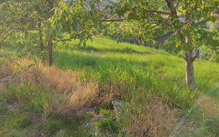 teren Spitalul Judetean - Poză 6