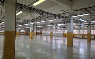 Hală de producție / depozitare – 1.300 mp utili, etaj 1, zona centrala - Poză 5