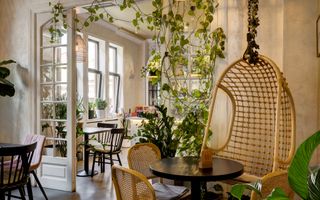 Vindem Afacerea ! Mini Hotel + Cafenea/ Restaurant ! Parcul Carol ! - Poză 21