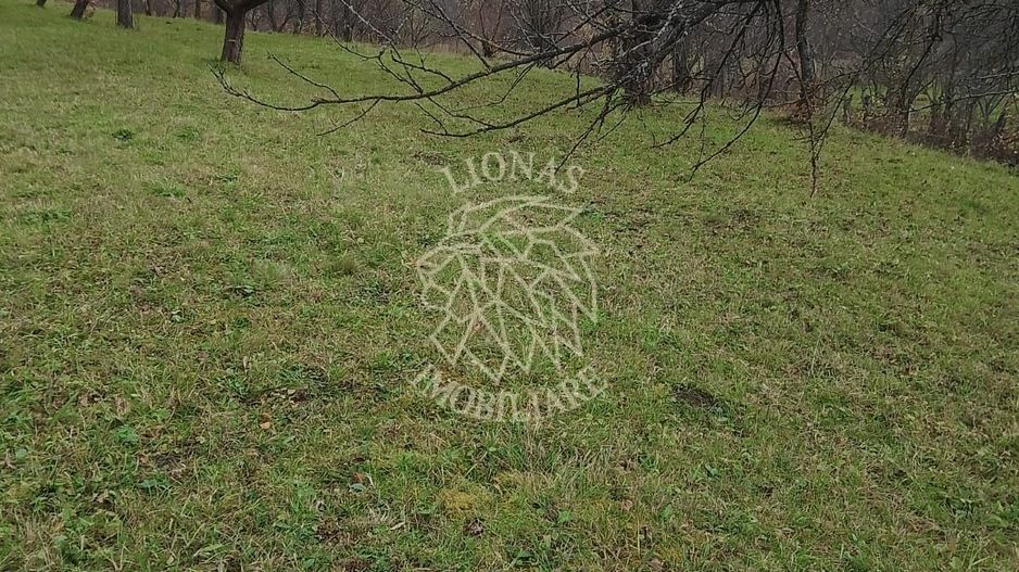 Teren 3966 mp-2 deschideri-curent-investitie-Budacu de Jos - Poză 4