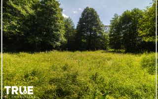 Teren intravilan 2.800 m² în Câmpu Cetății – liniște și natură - Poză 6