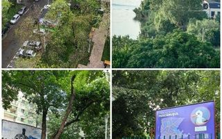 Garsoniera modernă CF 1 - Delfinului - Poză 16