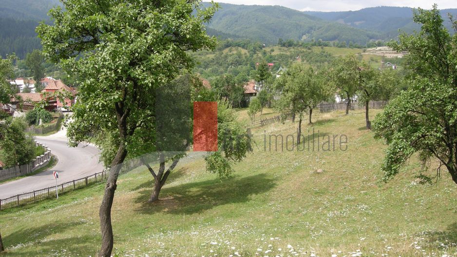 Teren intravilan 3214 mp  în Rucăr cu deschidere 56 m în DN73 - Poză 1