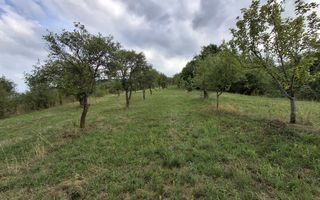 De vânzare teren extravilan în Sibiel, jud. Sibiu – 3223 mp - Poză 1