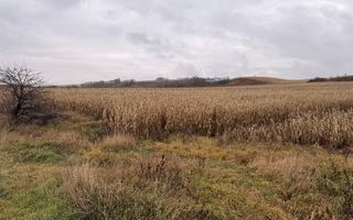 Teren 24 ari | Grănicesti | Front 19 m | DN2H - Poză 2