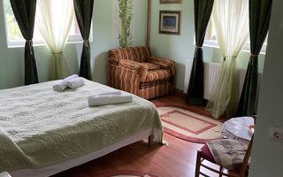 Proprietate in incantarea naturii, oportunitate investitie/rezidential, Predeal - Poză 38