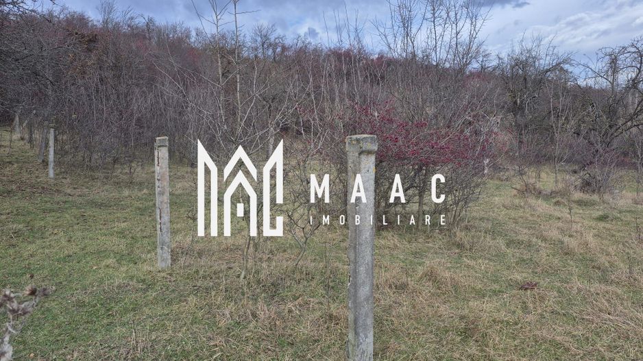 Teren de vanzare | Orlat | Extravilan - Poză 6