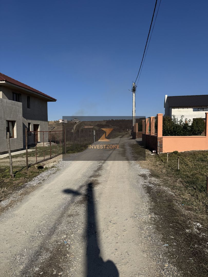 Teren intravilan Săldăbagiu De Munte - Poză 2