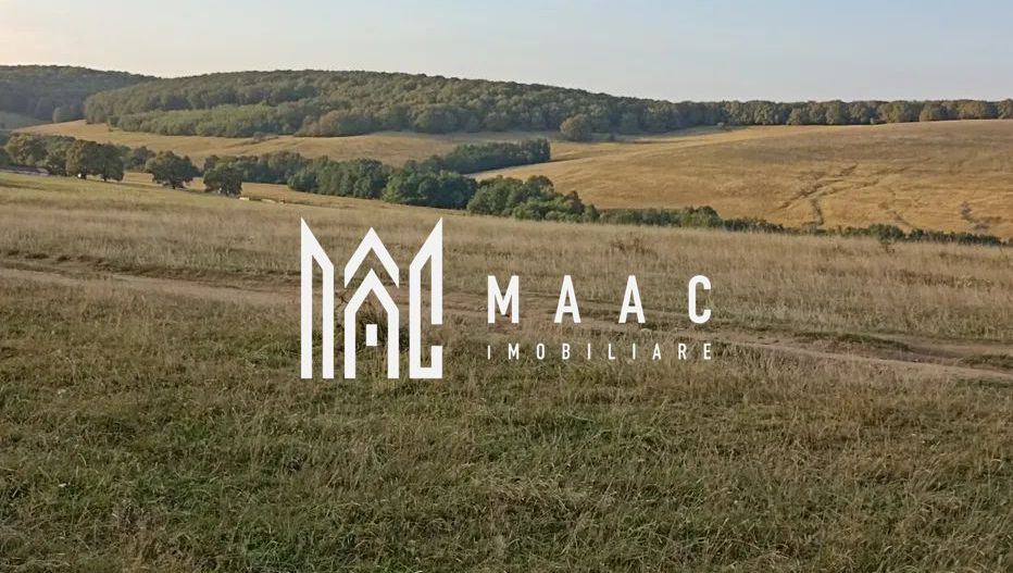 Teren de 1000 mp | Cabana | Zona Cristian - Poză 1