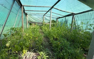 De vânzare lot pentru casă de vacanță- Răzeni, Ialoveni ,La doar câțiva pasi de Lacul Piatihatka - Poză 19