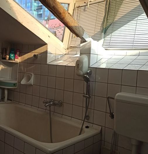 De vanzare Casa individuala singur la curte, Mihail Sebastian, CENTRAL - Poză 5