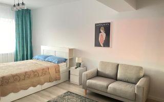 1 CAM NOU TATARASI EVERGREEN - Poză 1