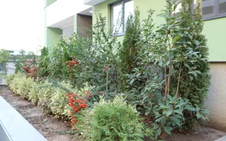 3 CAMERE LA PARTER CU CURTE PROPRIE DE 57MP,  2 BAI, POZITIE PE SUD, COMISION 0% - Poză 12