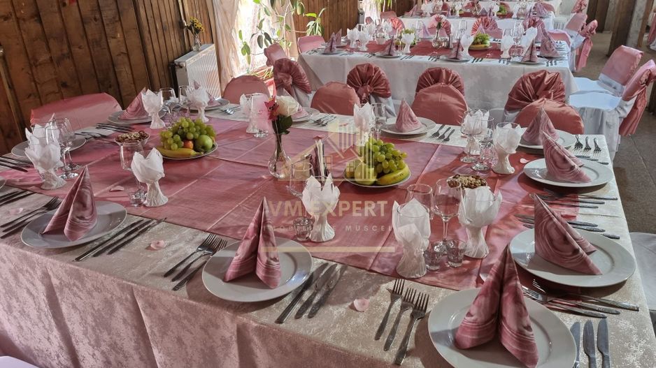 VILA - PENSIUNE CU RESTAURANT + SI TEREN 6406 MP, VALEA MARE PRAVAT, - Poză 20