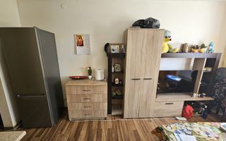 Vanzare garsoniera Prundu zona Vama - Poză 6