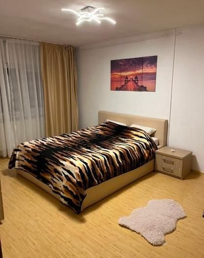 Apartament Aviatiei/Aurel Vlaicu - Poză 8