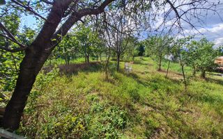 Casa 2 Camere, Teren 1081 mp, Ciugud - Poză 11
