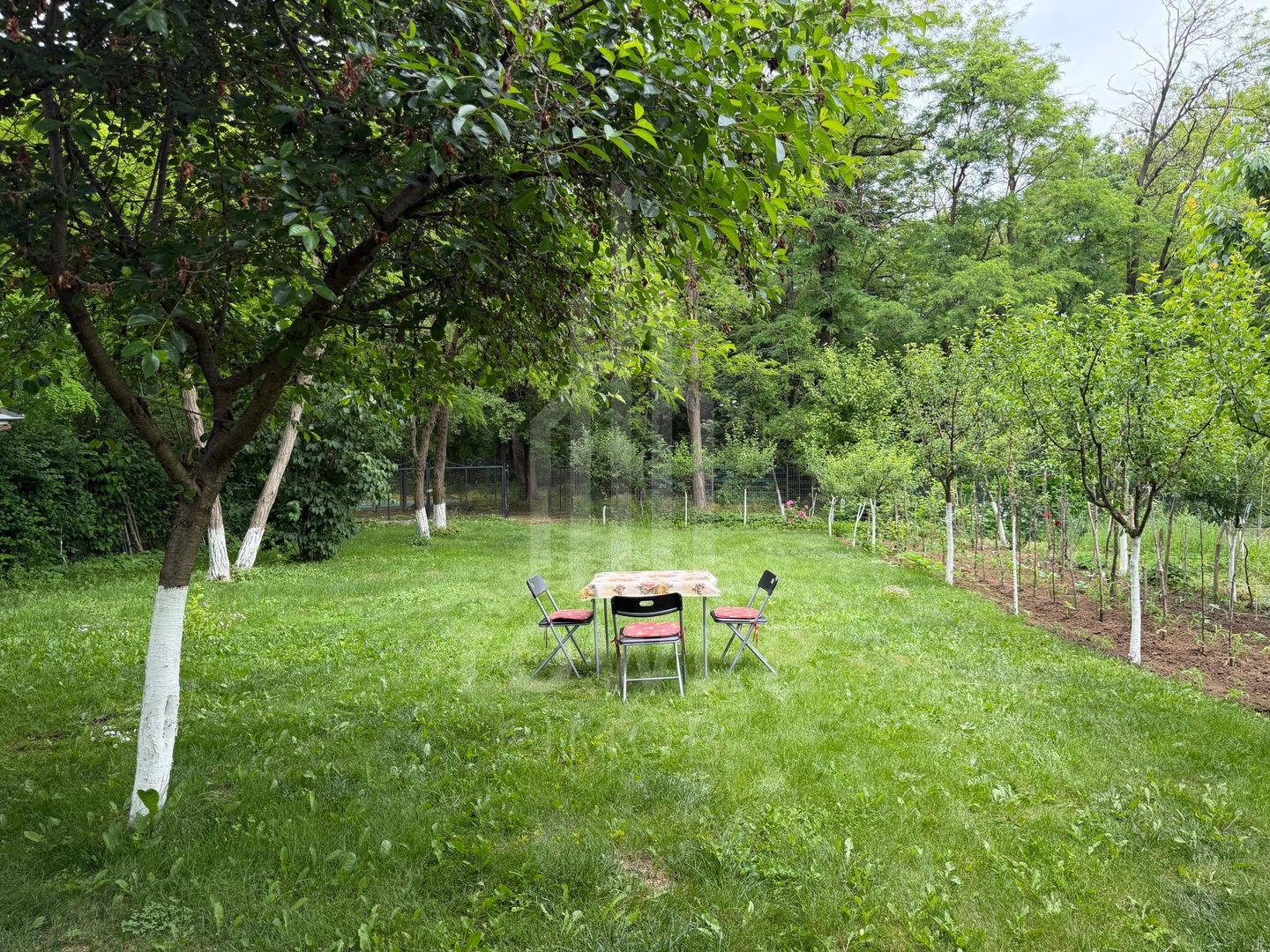 OCAZIE RARĂ - Teren cu cabană de vânzare lângă Lacurile Naturale - Ocna Sibiului - Poză 9