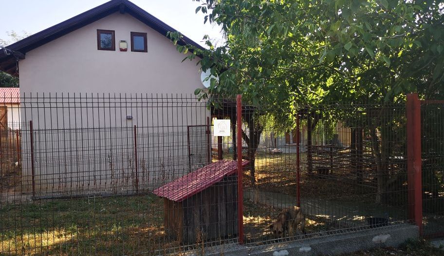 Casa mixta Urziceanca - Poză 5