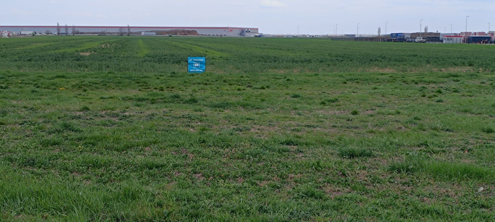 Teren intravilan 35.000 mp – Șag - Poză 5