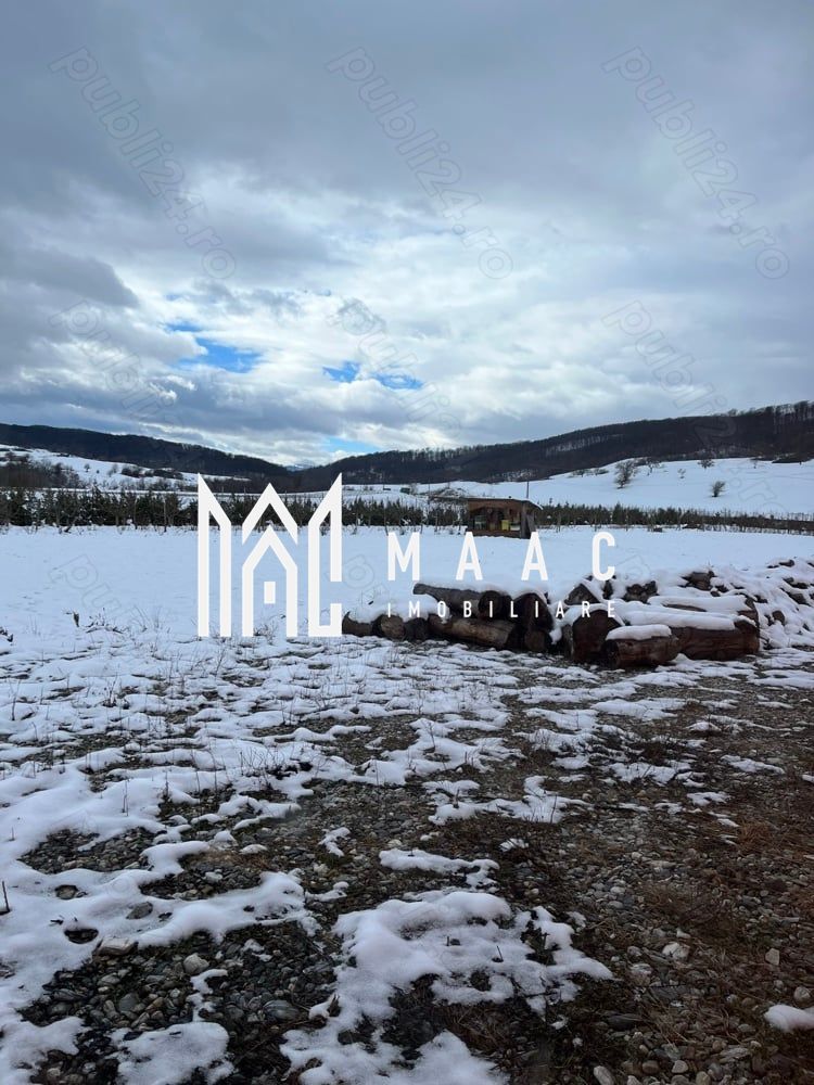 Hală industrială I Birouri I Parcare I TIR I 12000 mp I Bradu - Poză 5