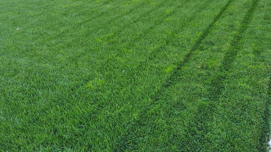 Locuinta individuala cu teren de 1000mp - Poză 6