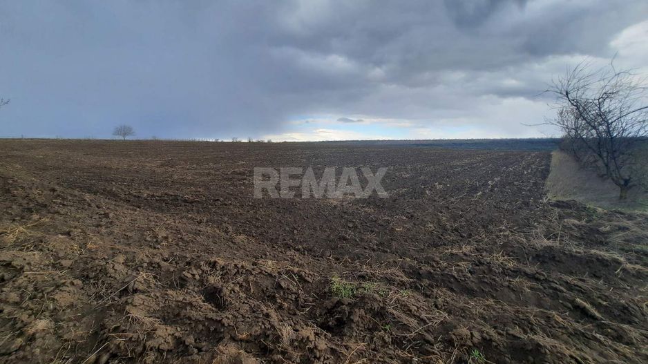 Teren agricol, Boșcana, 20 ari - Poză 3