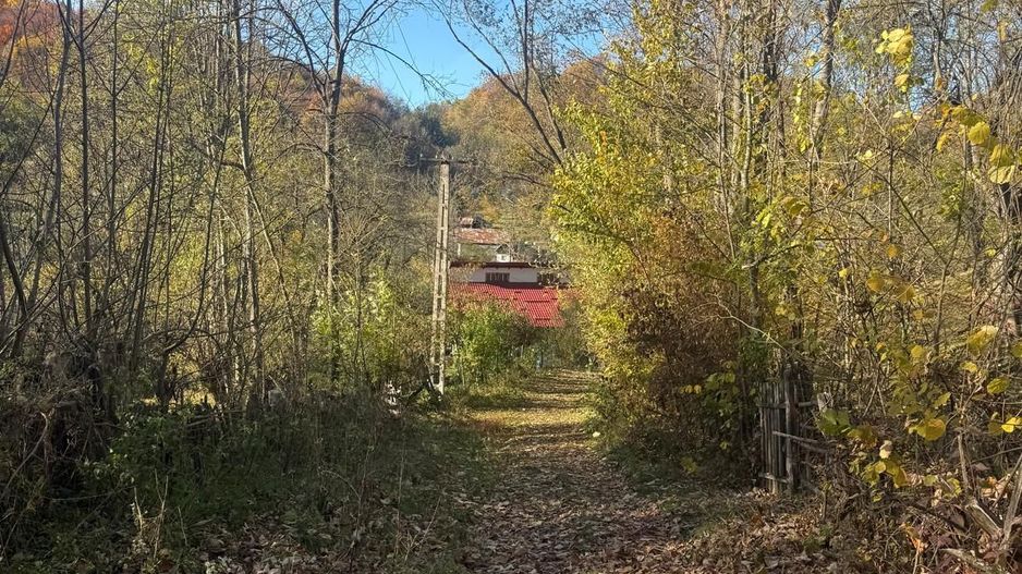 Teren langa pădure 6400mp+casa demolabila-deschidere 35 ml - Poză 17