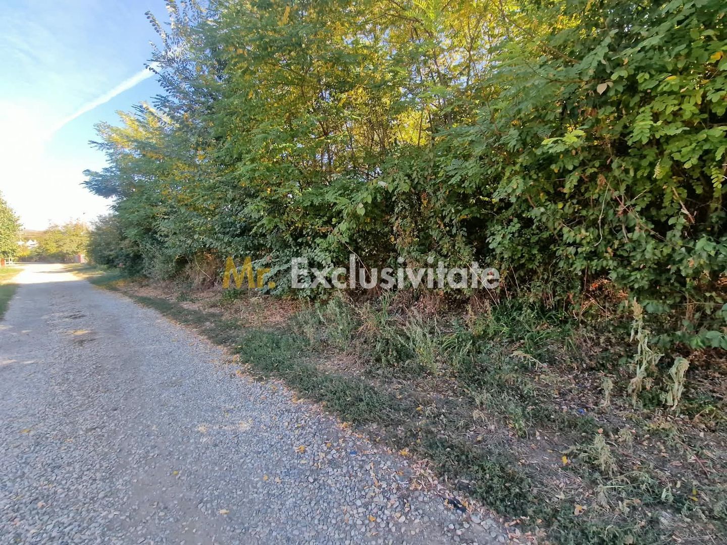 Teren 2121 mp în Topoloveni, - str. Inuri - Poză 2