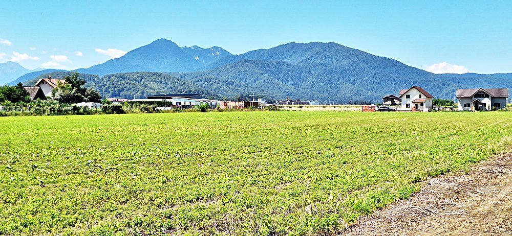 Sacele, teren intravilan 1386 mp, parau, priveliste superba, 45 euro/mp - Poză 12