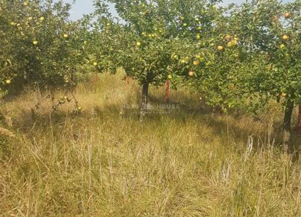 Teren la 35 km de Bucuresti - Izvorani - Ciolpani - Poză 16