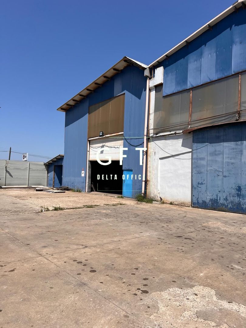 Hala de vanzare, zona Exterior-Sud - Poză 4