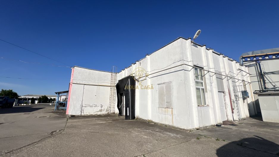 De inchiriat Camere Frigo Congelare/Refrigerare-Suprafete de la 50mp - Poză 7