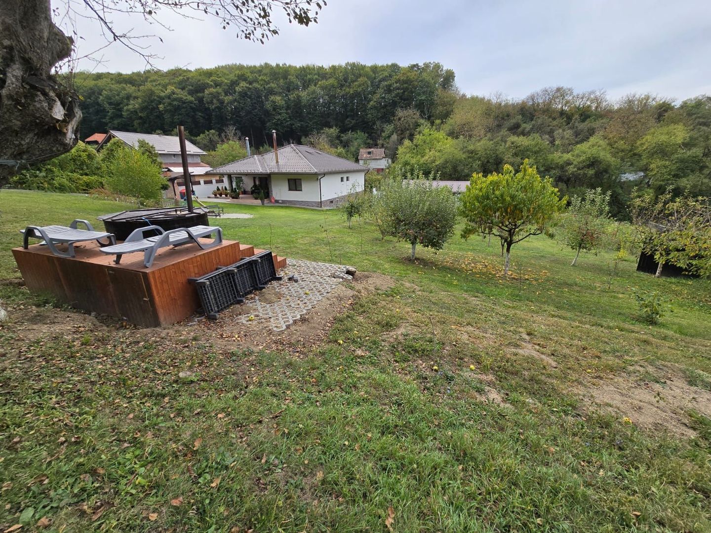 Casa 6 camere,300 mp,2500mp teren, Valea Iubirii,0% comision - Poză 2