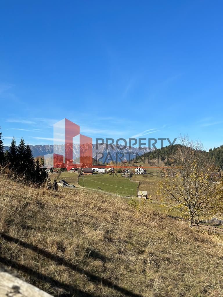 Teren Fundatica intravilan 4500 mp - Poză 6