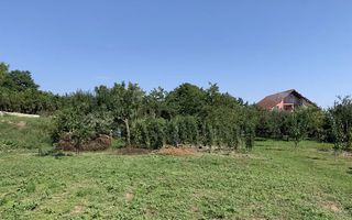 Teren intravilan de vanzare, Paclisa - Poză 4