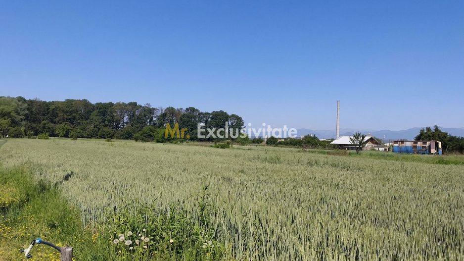 Teren 10.294 mp de vânzare Târgu Jiu | Intravilan + Extravilan | Utilități - Poză 2