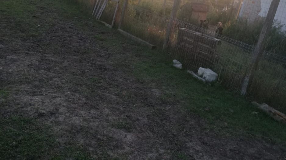 Ferma de vânzare - Poză 5