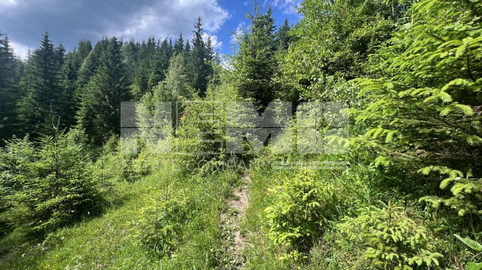 Teren Intravilan | Brodina de Jos | 16900 MP - Poză 10