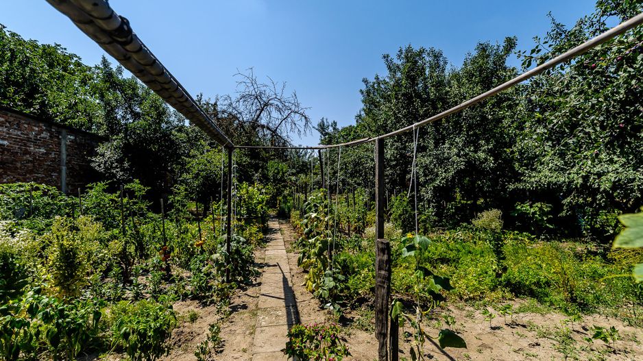 PRET NOU!!! Casa in Parneava - Poză 8