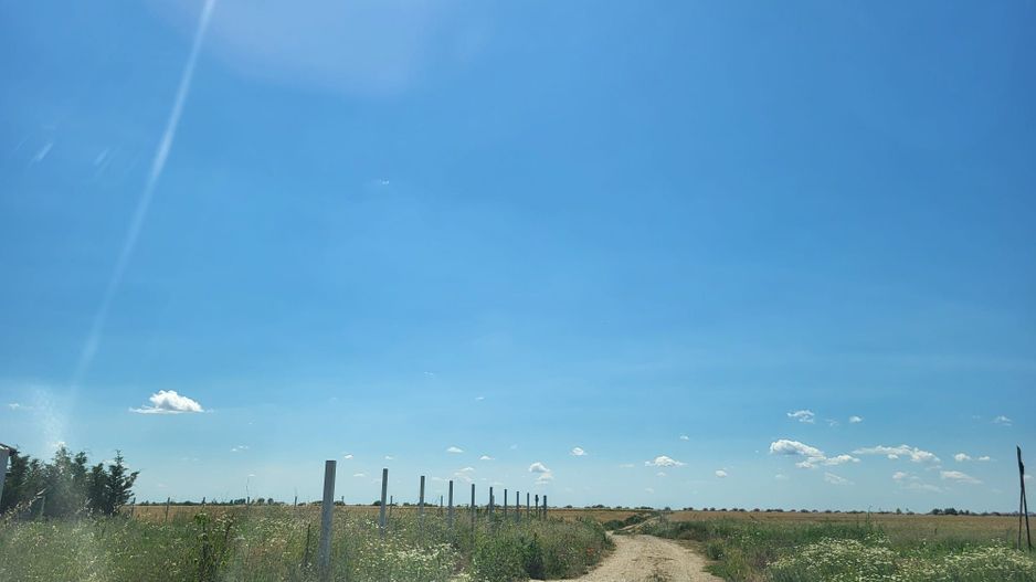 Teren 10.000m2 intravilan Balotesti langa Cartierul LUNA - Poză 4