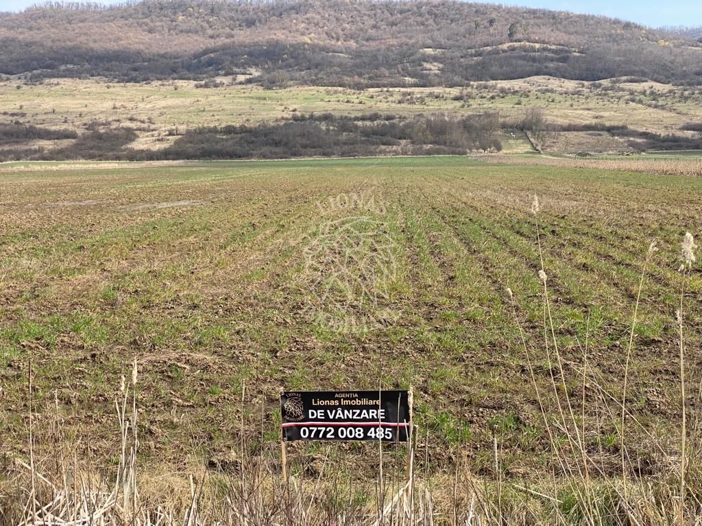 Teren Intravilan-3750mp- zona in plina dezvoltare-Podirei - Poză 4