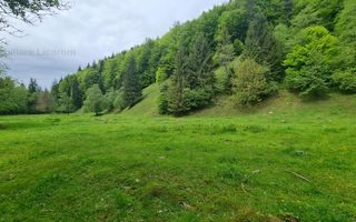 13005 mp teren faneata in Bran Simon cu fornt de 57 mp - Poză 3