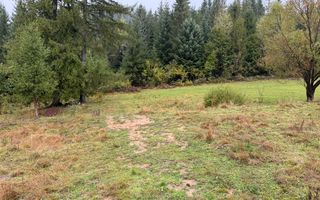 Teren Extravilan | 6.100 mp | Brodina | 41.500 € negociabil - Poză 11