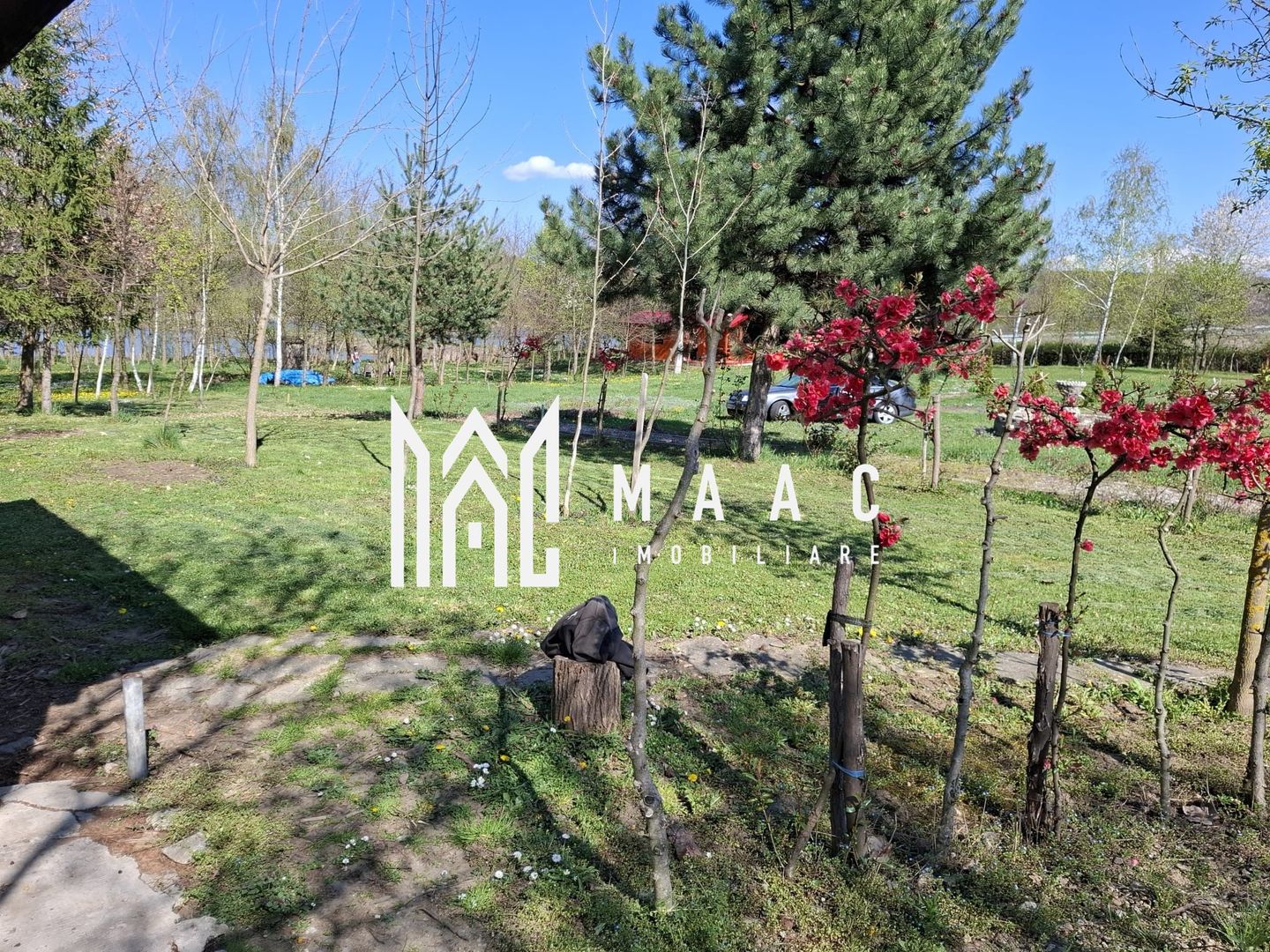 Teren Intravilan | 1150 mp | Săliște - Poză 5