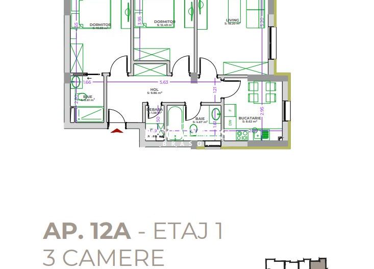 ROKMAN Tiberiu Eremia 12 - Poză 10