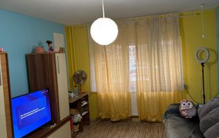 Vând apartament 2 camere , Păltiniș