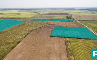 Teren 15Ha cu acces cale ferată - Poză 2