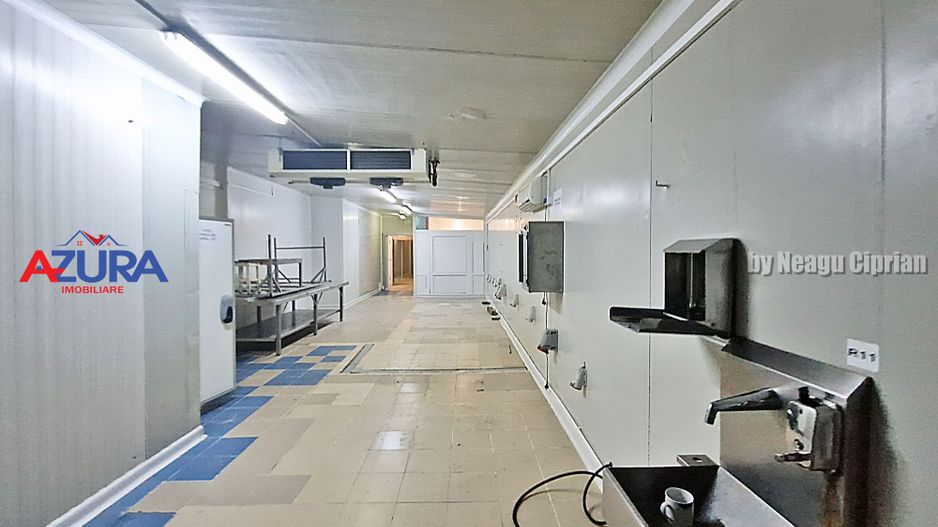 AZURA Imobiliare - Hala Fabrica de procesare Carne - Poză 1